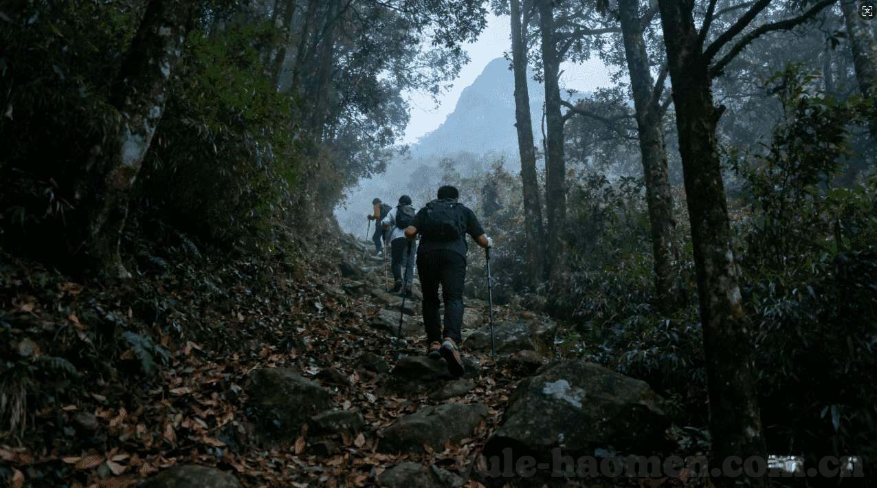 365体育入口-探索365体育入口，解锁全天候健身与竞技的奥秘